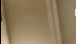 乐凡爆料所有录音视频,录音视频揭露惊人内幕