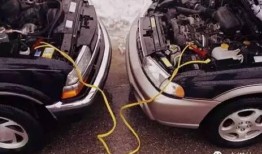 福建新闻广播爆料车主是谁,神秘车主身份引发热议